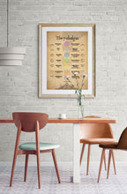 Load image into Gallery viewer, 7 chakras printable wall art location, meaning &amp; Sankrit name

